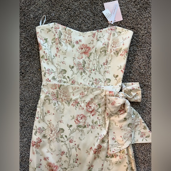 V.Chapman dress in the style June dress in Carmel valley rose size 8. - Picture 5 of 8